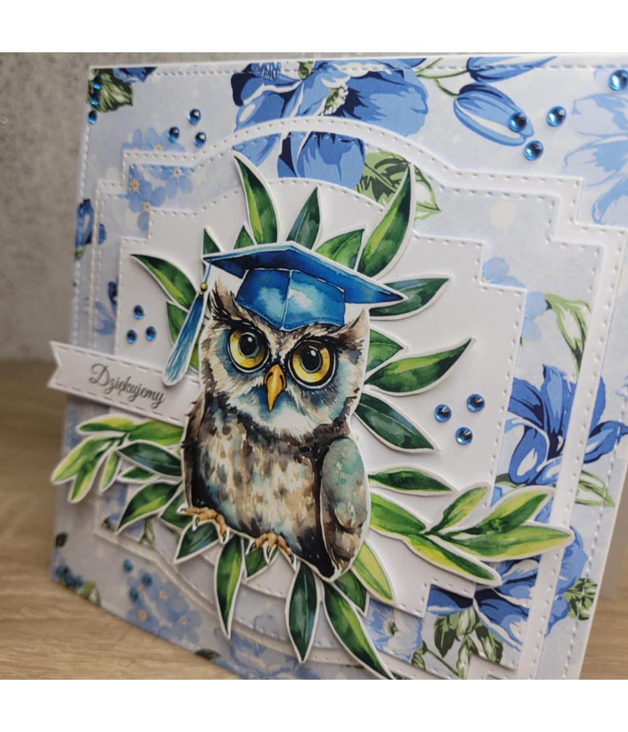 Niebieska kartka z sową, zakończenie roku szkolnego, handmade