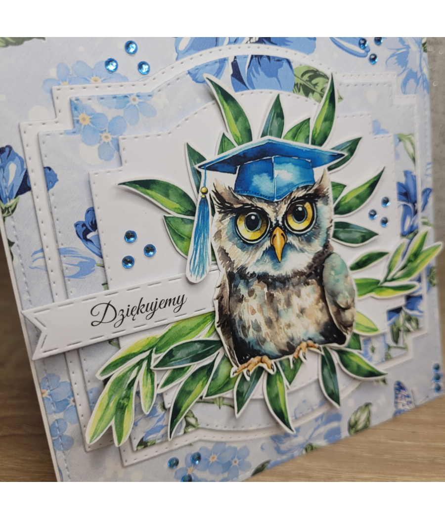 Niebieska kartka z sową, zakończenie roku szkolnego, handmade