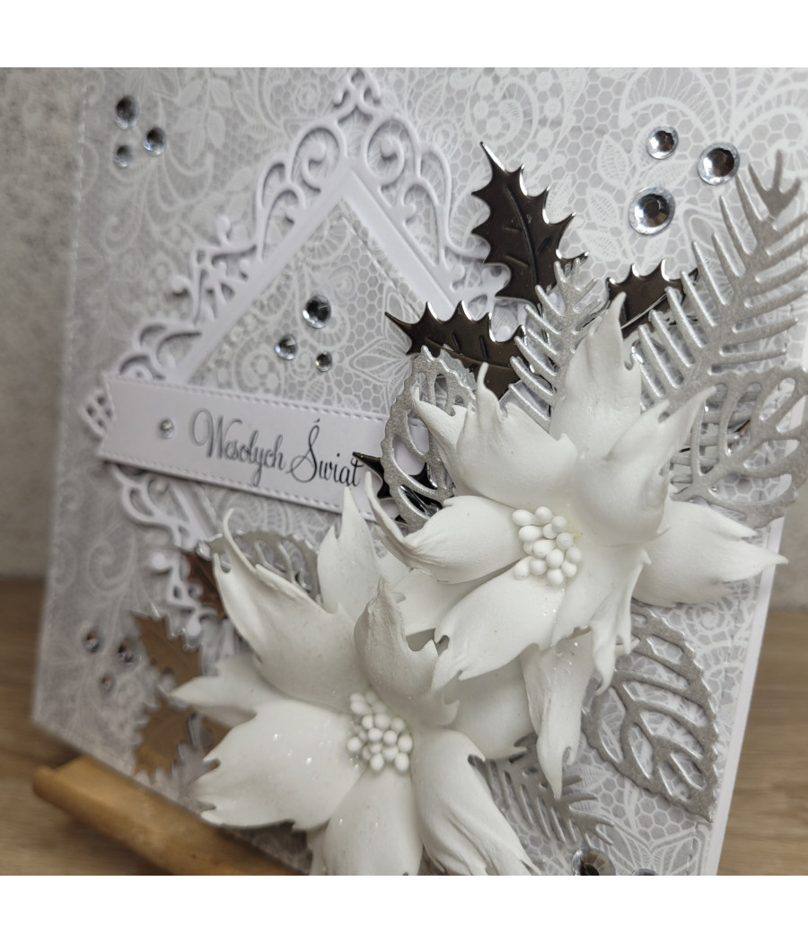 Zimowa kartka na Boże Narodzenie, poinsecje, cyrkonie, handmade