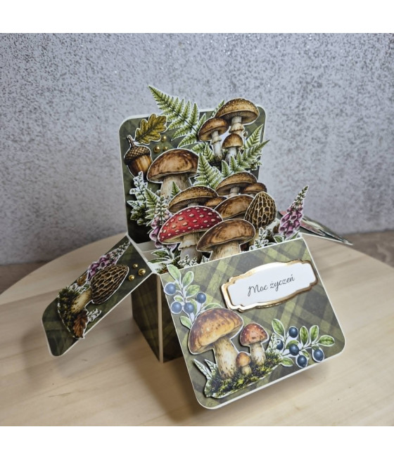 Grzybowy Pop Up Box, na każdą okazję, handmade, grzyby, jesień